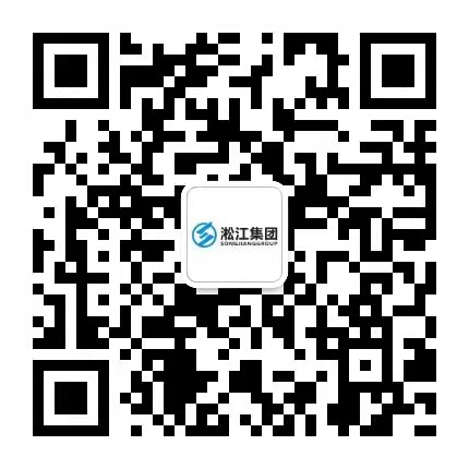 上海淞江减震器集团有限公司